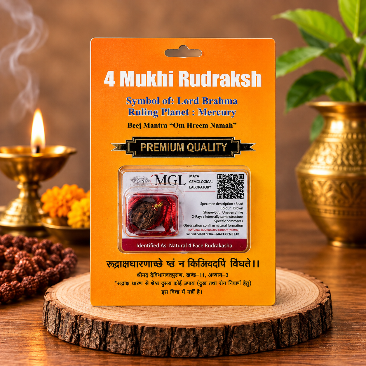 4 Mukhi Rudraksh