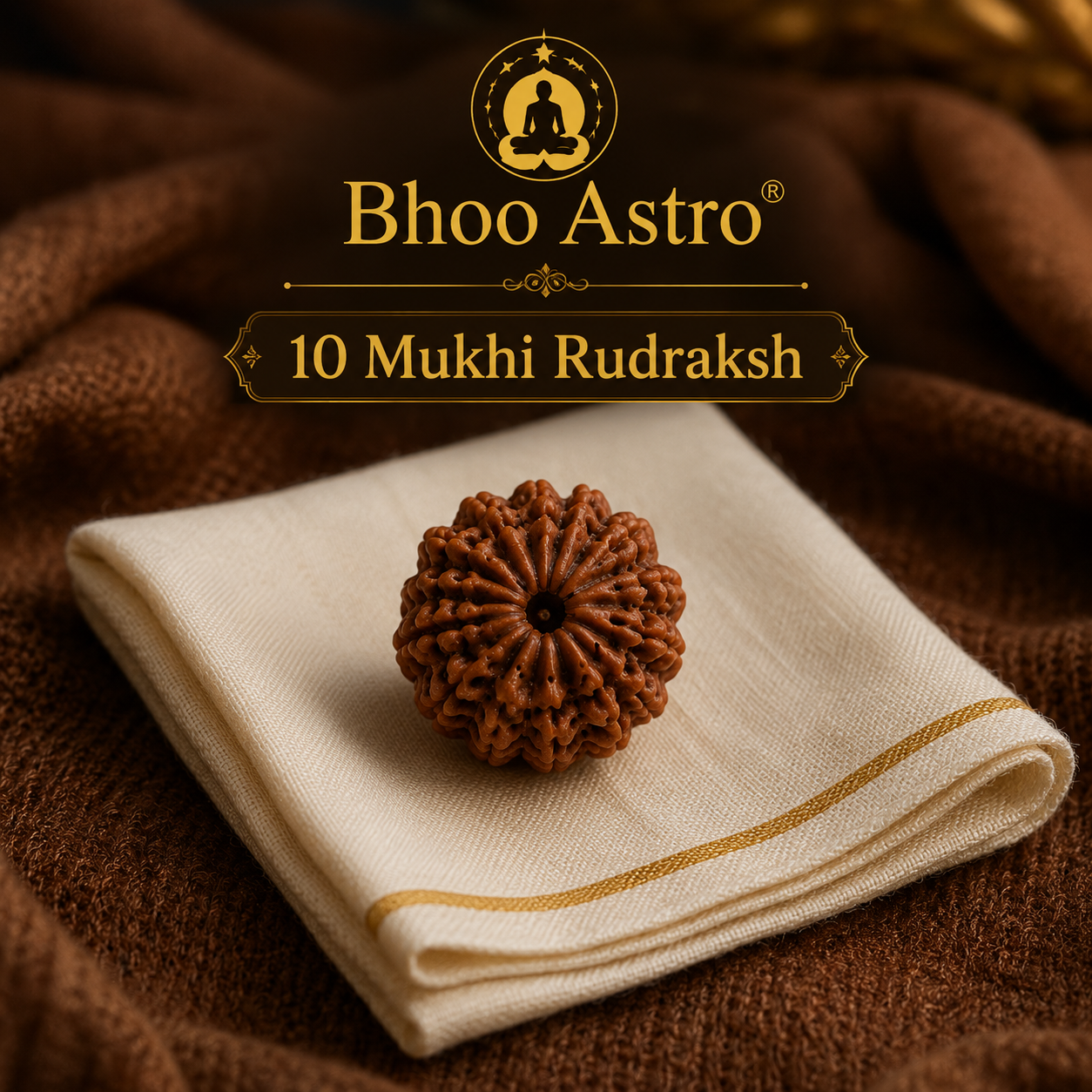 10 Mukhi Rudraksh